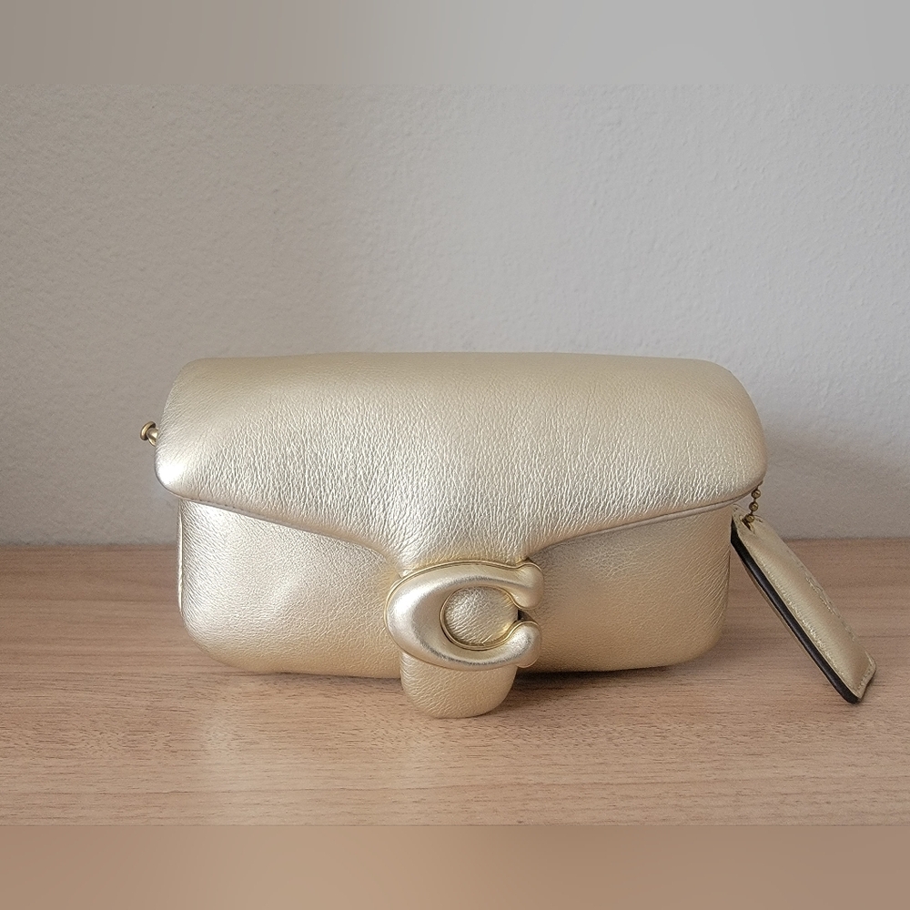 AUTHENTIC COACH PILLOW TABBY 18